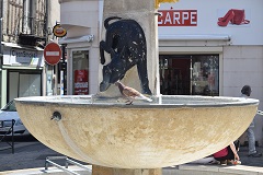Fontana di Place Charles Surugue