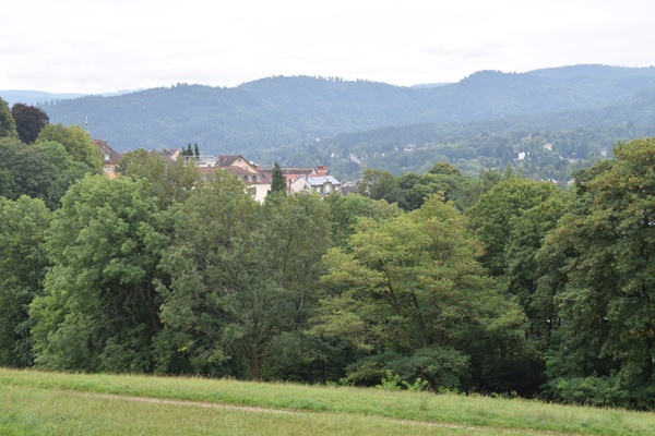Panorama