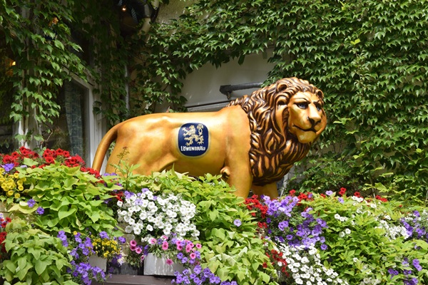 Il leone della birreria