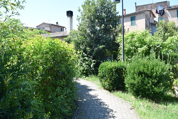 Si entra a Monteroni d'Arbia nel verde