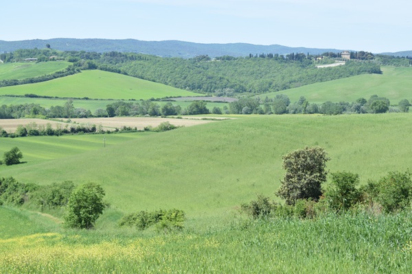 Dintorni, Panorama