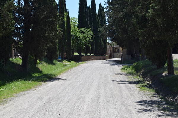 Curiano