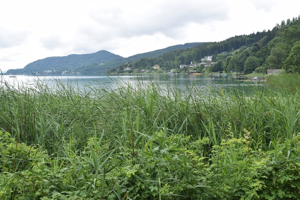 Il lago