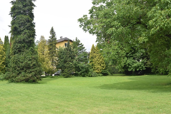 Verde Austria
