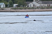A spasso in kayak
