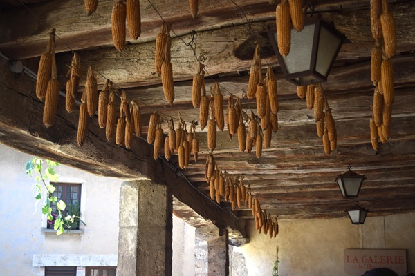 Le pannocchie