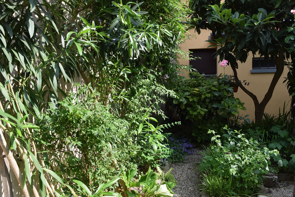 Foto 40