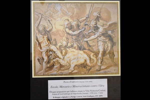 Sala Divinit�: Idra (disegno preparatorio)